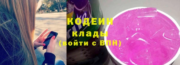 МДПВ Дмитриев
