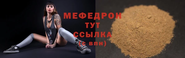 МДПВ Дмитриев
