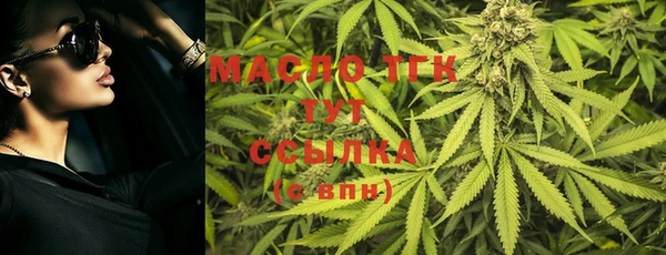 МДПВ Дмитриев
