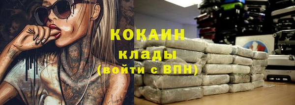 дурь Дмитровск