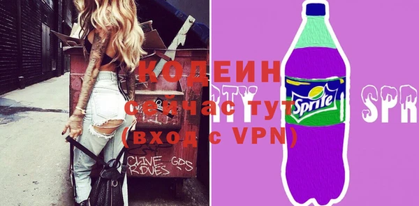 МДПВ Дмитриев
