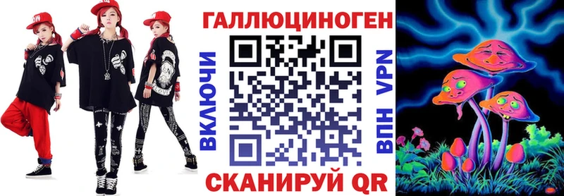 Псилоцибиновые грибы Psilocybe  Купить закладки  Грозный 